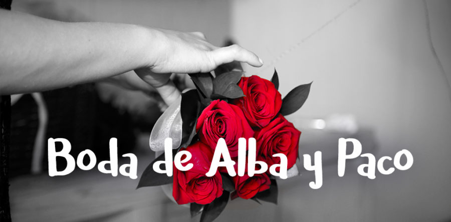Boda Alba y Paco
