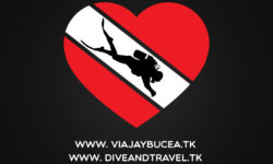 Viaja y Bucea – restyle de logo