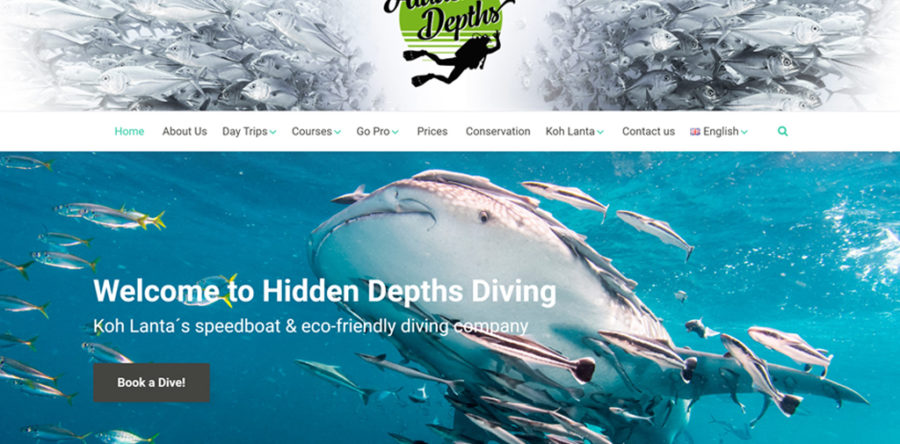 Hidden Depths Web
